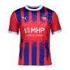 Camiseta de fútbol FC Heidenheim Primera Equipación 2024-25 - Hombre